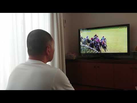 スプリンターズS  2019