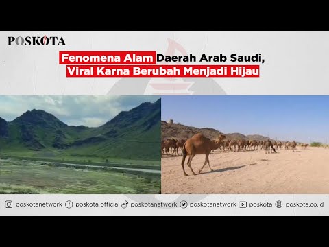 Fenomena Alam Daerah Arab Saudi, Viral Karna Berubah Menjadi Hijau