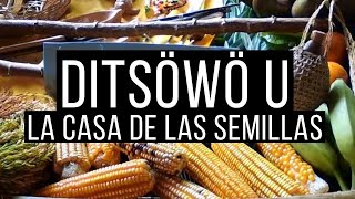 preview picture of video 'Ditsöwö Ù: La casa de las semillas'