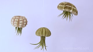 How to Make and Air Plant Jellyfish | Sophie