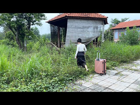 What made the young female dentist decide to buy this house for 3600 Euros to live in and clean