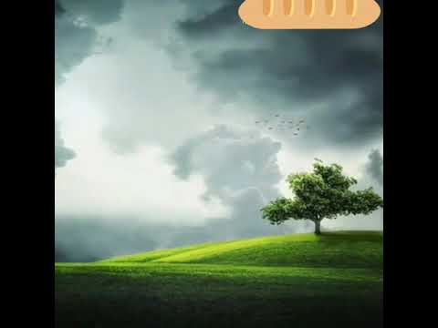 H.Lalsailoa-Phaizawl Li Li