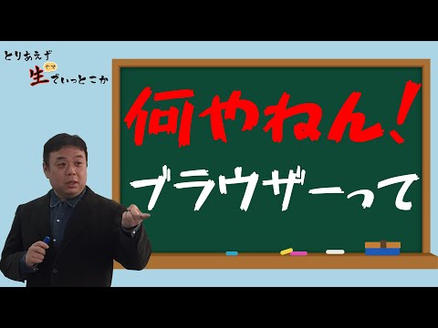 ブラウザとは何ですか?どのようなものが存在し、何に使用されるのか