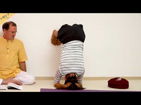 Die Wand hochkrabbeln zum Kopfstand - gehe die Wände hoch! - Yoga Asana Lexikon