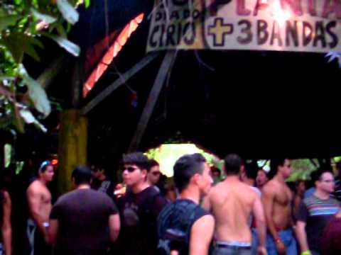 A noite do cachorro doido 2010