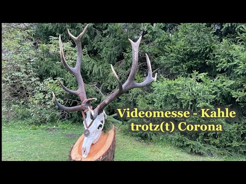 Videomesse - Kahle trotz(t) Corona Tag 3 - Hirschjagd