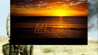 MLTR - The War is not over