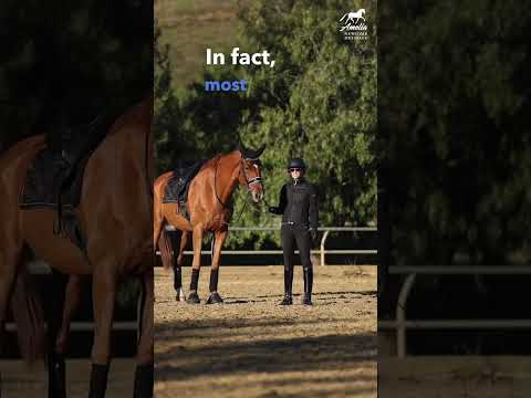 Amelia Newcomb &mdash; Teach the Rein Back From the Ground (Building Toward Collection)
