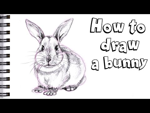 HOW TO DRAW A BUNNY Step by Step Pencil Drawing...
