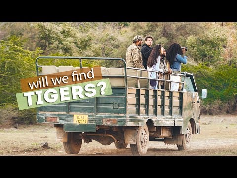 download lagu mp3 mp4 Tiger Containers Goa, download lagu Tiger Containers Goa gratis, unduh video klip Tiger Containers Goa