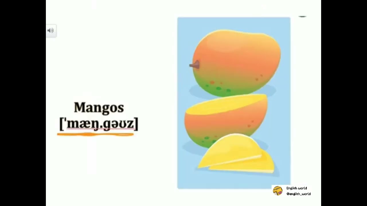 Audio. Unit 8. Words: 