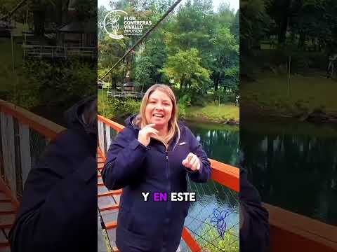 #FlorContreras despliega equipo en la zona lacustre del Distrito 23 #chile #laaraucanía #distrito23