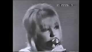 Twinkle Ripley -The Boy Of My Dreams- Shindig