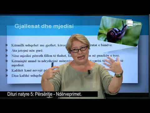 Përsëritje| Dituri natyre 5