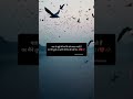लोग बदल जाते है Sad Shayari Whatsapp Status Shorts Whatsappstatus Sadstatus 