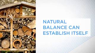 Natural Gardening (Organic Agriculture)