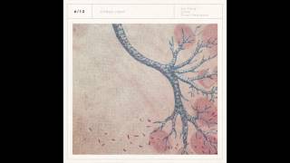 Sin Fang, Sóley and Örvar Smárason: Citrus Light