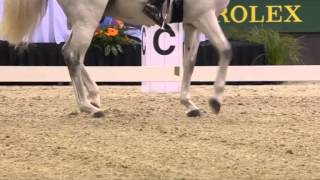 Video of Xama Dos Pinhais