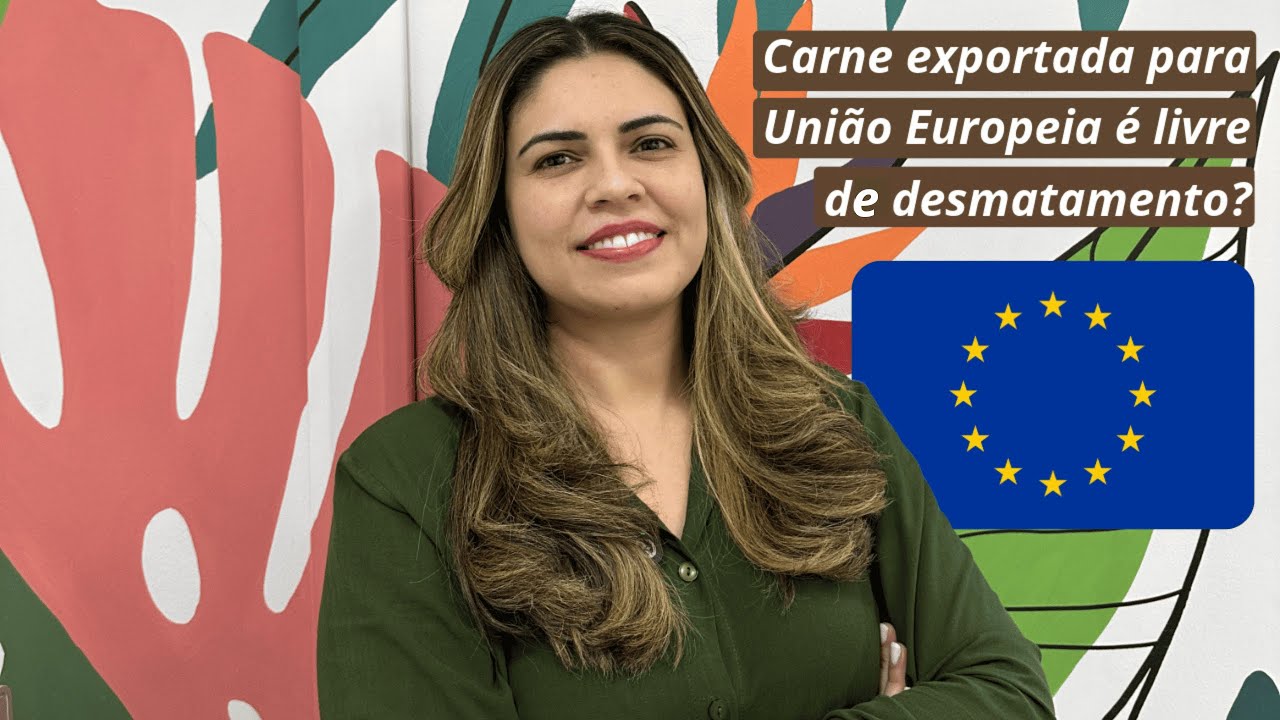 Desmatamento na Amazônia e a exportação de carne para a União Europeia