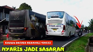 Download lagu Raja pantura memang bedaā¼ļøaksi bus sinarjaya dan bus san primajasa, sugeng rahayu, budiman mp3 Download lagu Raja pantura memang bedaā¼ļøaksi bus sinarjaya dan bus san primajasa, sugeng rahayu, budiman mp3