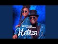 Neteze