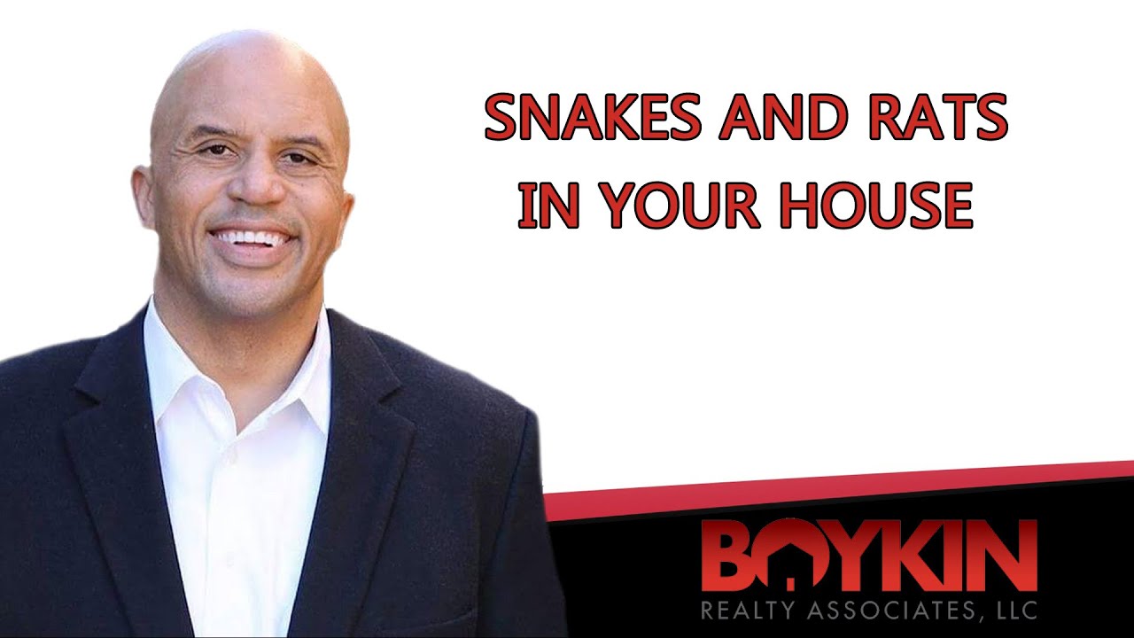 Do You Have Snake and Rodent Issues?