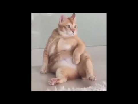 JOEYCOZYBOY X Nickybasuga X Wavy Rvck$ - War (Remix)