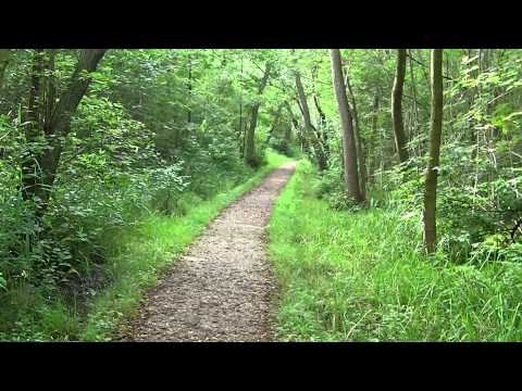 MongoTV_548 - Del 3 - MONGO TV 1 ÅRS FØDSELSDAG - Skovtur Torsdag 13.August 2015