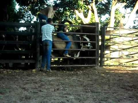 Devanir Dias X Magnifico   {treno}         Cia Primavera.AVI