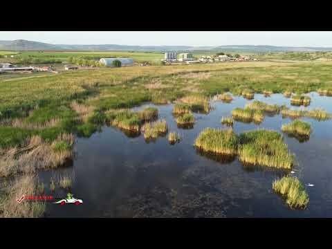 Rezervația naturală Lacul Traian, Jud  Tulcea, România