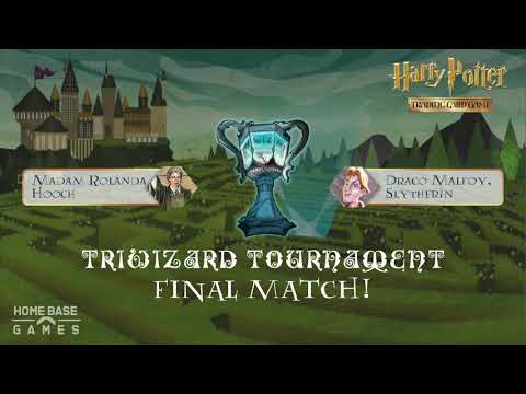 Hooch vs Draco // Triwizard Tournament FINALS // Harry...