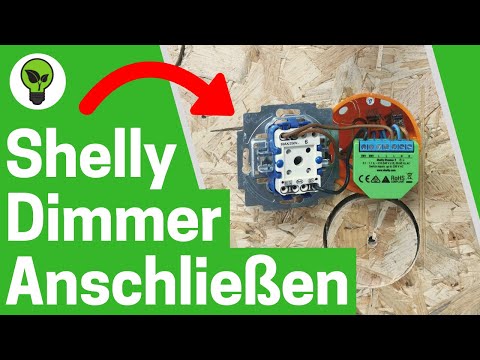 Connecting Shelly Dimmer 2 ✅ ULTIMATE GUIDE: How to dim lights & set up lamps with Shelly?