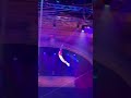 18 March 2025 Circus