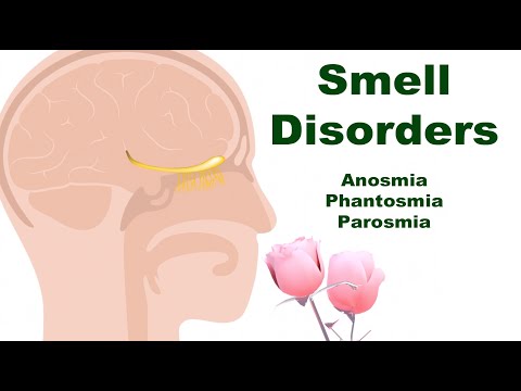 Smell Disorders: Anosmia, Phantosmia, and Parosmia (Why and What Happens?)