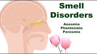 Smell Disorders: Anosmia Phantosmia and Parosmia (