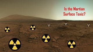 Is the Martian Surface Toxic?
