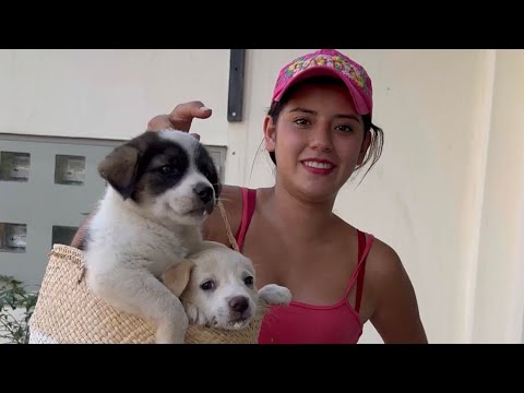 My Puppies Are Vaccinated for the First Time ~ Saida ZC ~ 💚