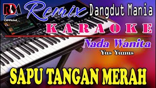 Download lagu Sapu Tangan Merah - Karaoke (Nada Wanita) Yus Yunus || Dj Mix Dut Orgen Tunggal RDM mp3
