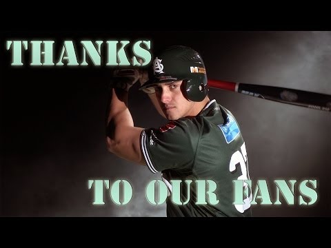 Solingen Alligators Fanclip 2013