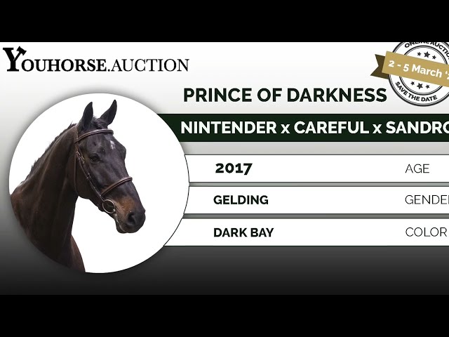Prince of Darkness @ practice show