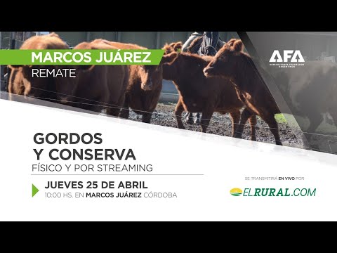 Remate AFA Gordos y Conserva desde Marcos Juárez Córdoba