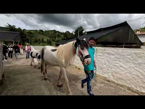 Tour Lechero