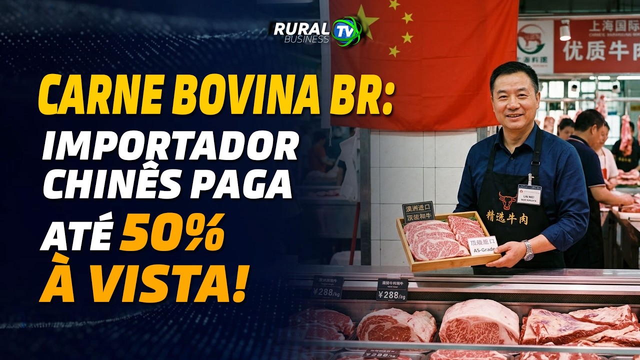 CARNE BOVINA BR: IMPORTADOR CHINÊS PAGA ATÉ 50% À VISTA!