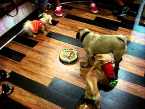 Cooper's Birthday @ Lupita's Closet