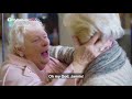 Half Sisters From Australia And Netherlands Reunite Through MyHeritage DNA