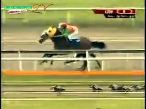 LA RINCONADA 8 CARRERA, SABADO 04 DE OCTUBRE DEL 2014