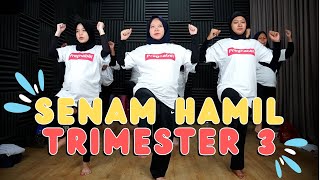 Download lagu Senam Ibu Hamil Trimester 3 Persiapan Persalinan || Bidan Novia, Amd, Keb - Medikacare mp3
