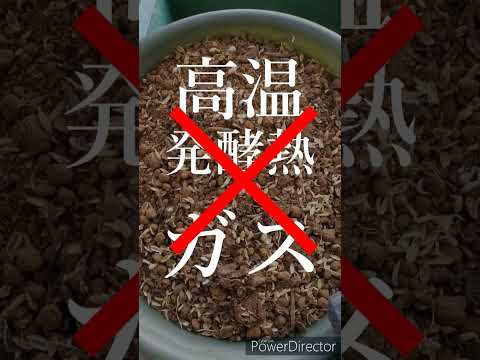 堆肥が良いかどうかはどうやってわかりますか？品質を保証する5つの分析方法  庭園