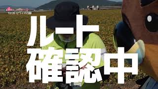 2020/11/18放送・知ったかぶりカイツブリにゅーす