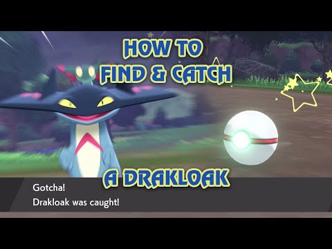 How to Find and Catch a Drakloak